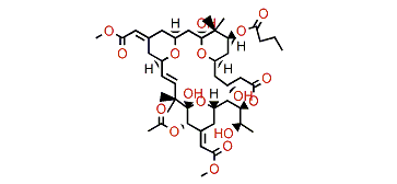 Bryostatin 6